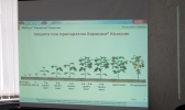 Семинар в Еврейской Автономной области