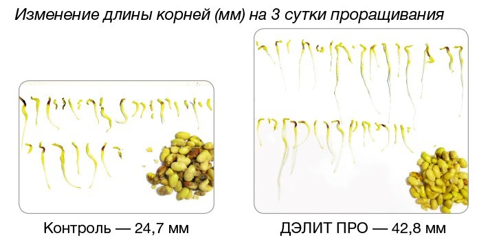 ДЭЛИТ® ПРО - для урожая высшего класса