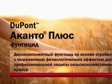 Фунгицид DuPont™ Аканто® Плюс