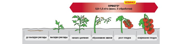 ОРВЕГО® - Максимальный потенциал здорового урожая!