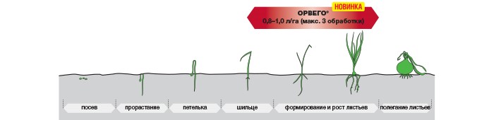 ОРВЕГО® - Максимальный потенциал здорового урожая!