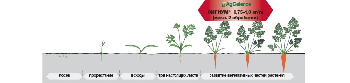 СИГНУМ® - Идеальный баланс: товарный вид + здоровье овощей