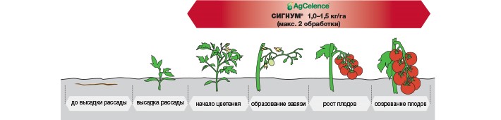 СИГНУМ® - Идеальный баланс: товарный вид + здоровье овощей