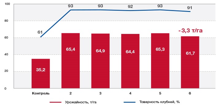 Рекомендации по системе защиты картофеля от болезней