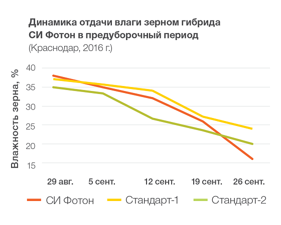 СИ Ариосо - новый гибрид кукурузы для интенсивного земледелия POWERGRAIN от компании «Сингента»