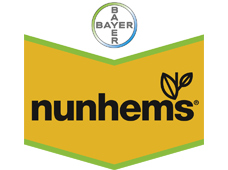 Nunhems