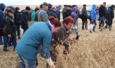 Выездной семинар «Новые элементы технологии возделывания сои и кукурузы в условиях Приморского края» от компании BASF