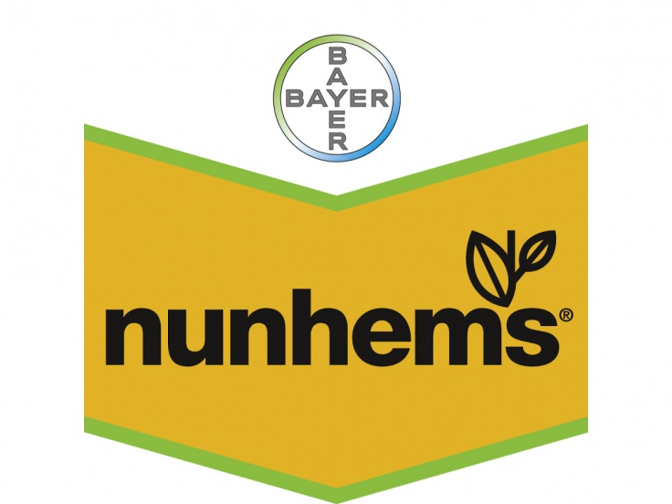 Nunhems