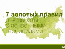 7 золотых правил для работы с почвенными гербицидами